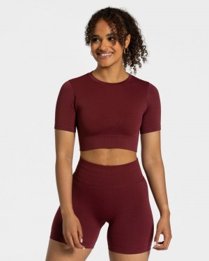 Teveo Sensation Crop Top Rot | AVHBJE-947